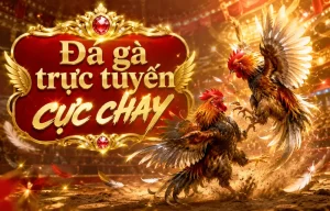 Giao diện sảnh Đá Gà ksatade